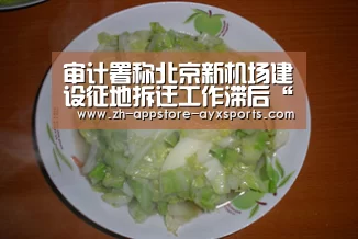 审计署称北京新机场建设征地拆迁工作滞后“爱游戏体育”(图2) 爱游戏官网