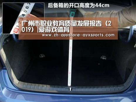 广州市职业教育质量发展报告(2019)|爱游戏体育(图2) 爱游戏体育App下载