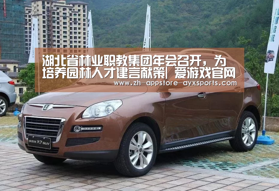  爱游戏官网
