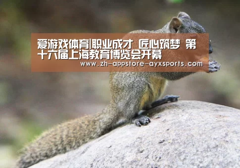 爱游戏体育